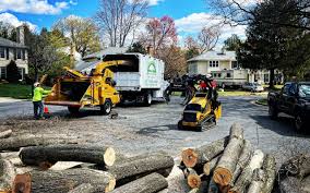 Best Tree Removal  in Vandenberg Af, CA